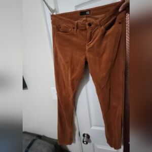 Gorgeous corduroy pants